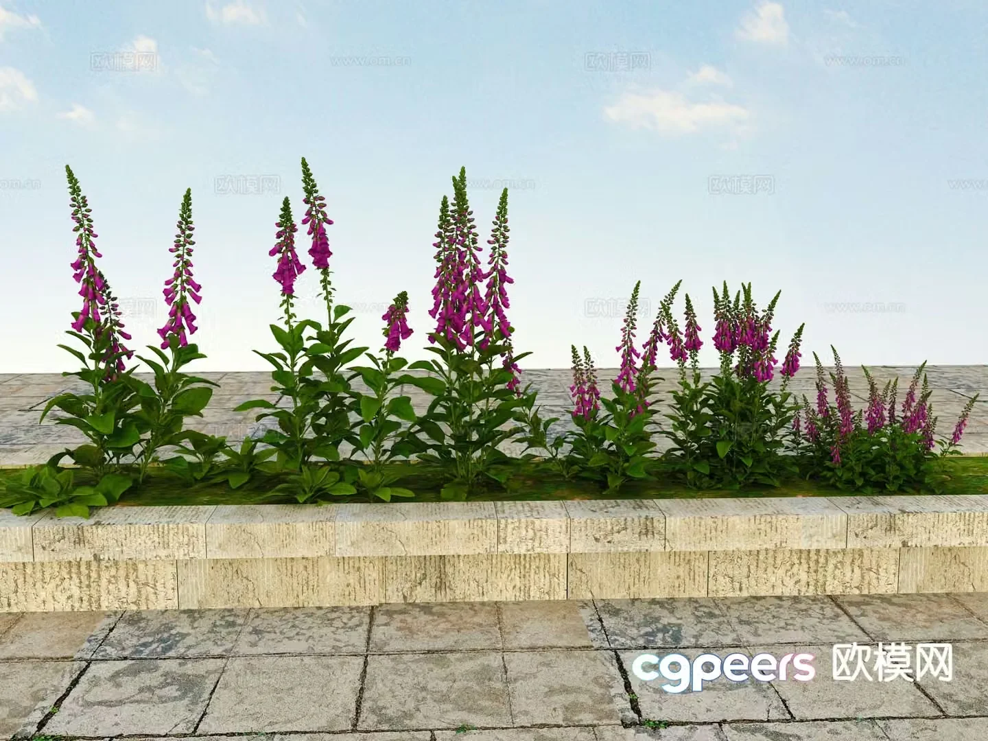 Flowers and plants shrubs viewing plants 3d model