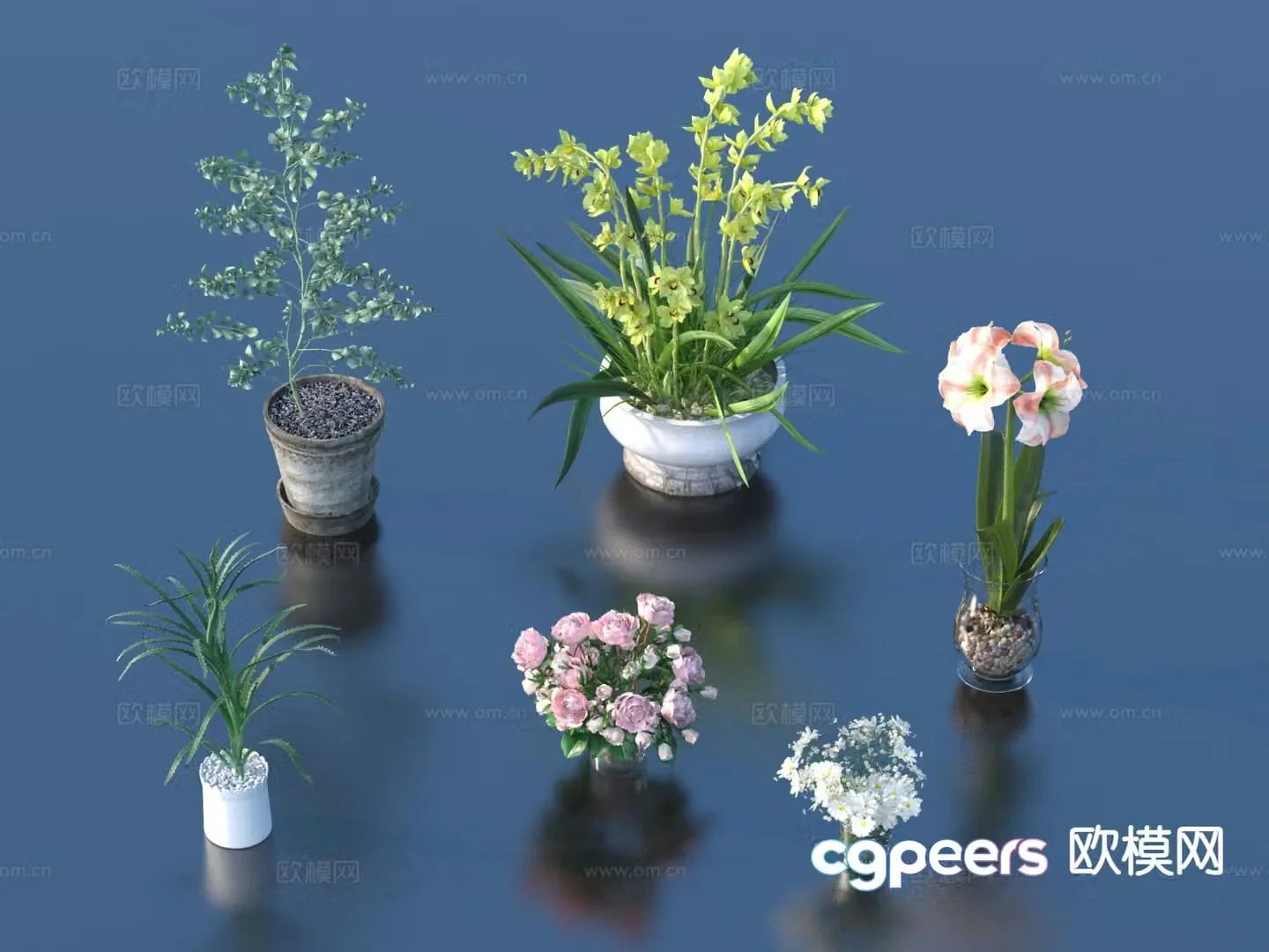 Plant bonsai Flower bonsai 3d model