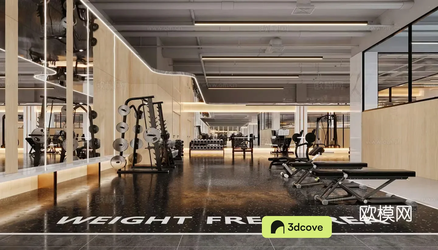 Modern indoor physical exercise hall