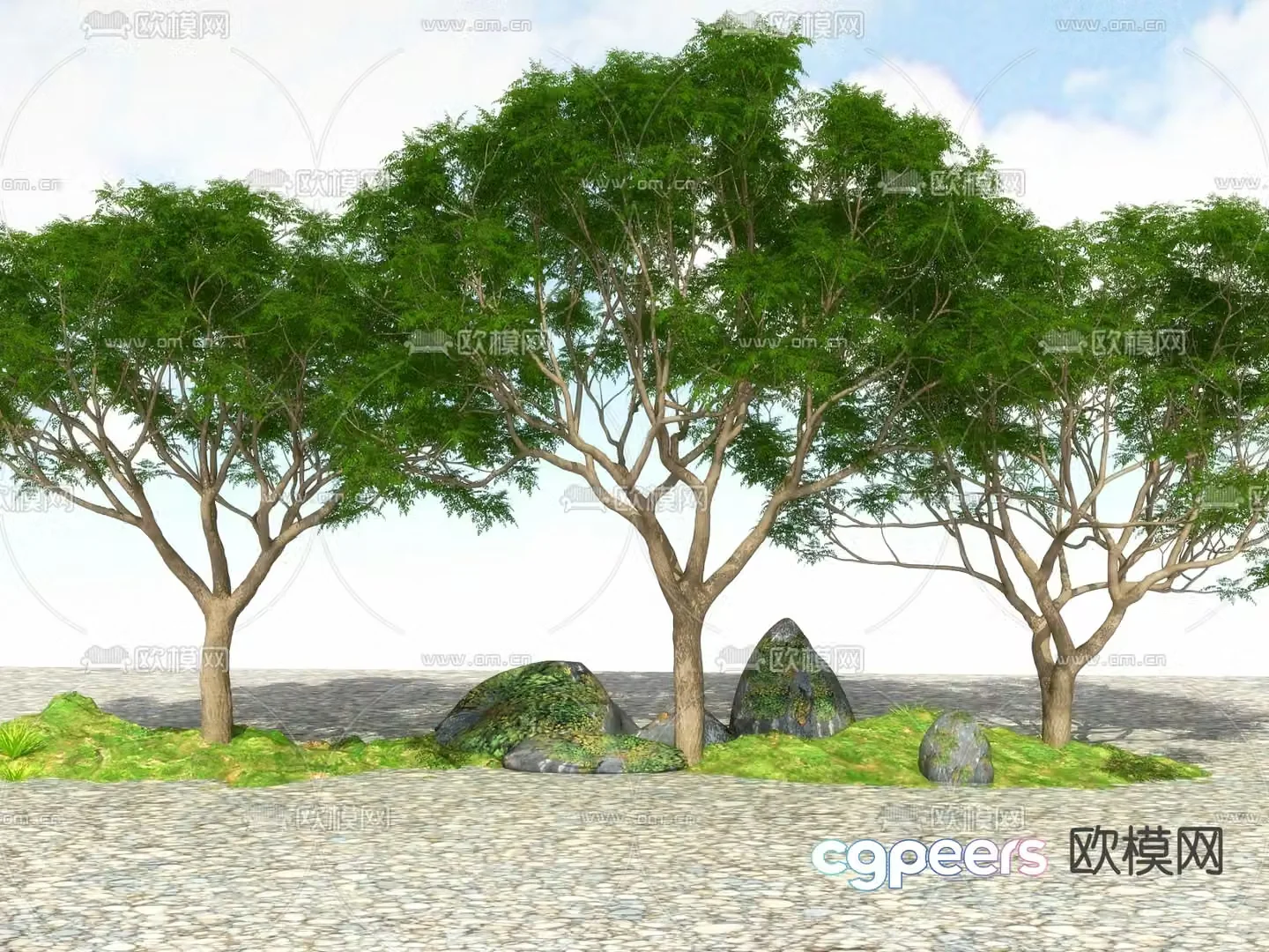 Landscape tree Street tree Big tree Tree Tree 3D model