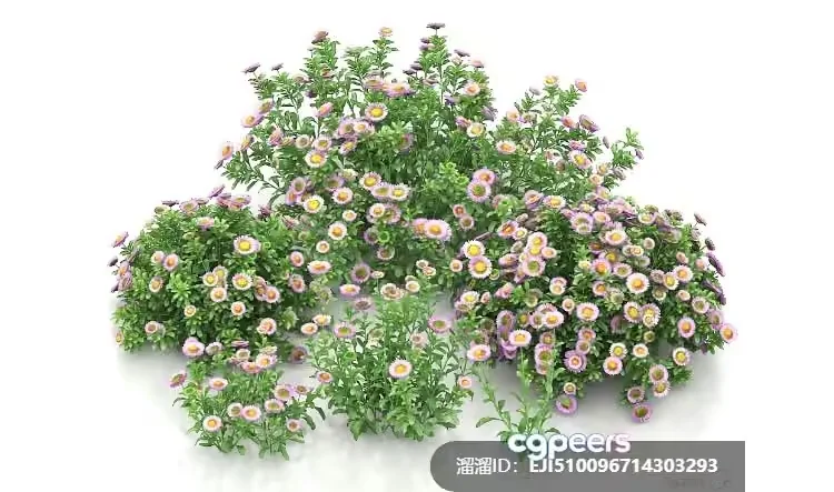 A Cluster Of Small Flowers With Green Leaves 3D Model – 7487 – VRAY Render