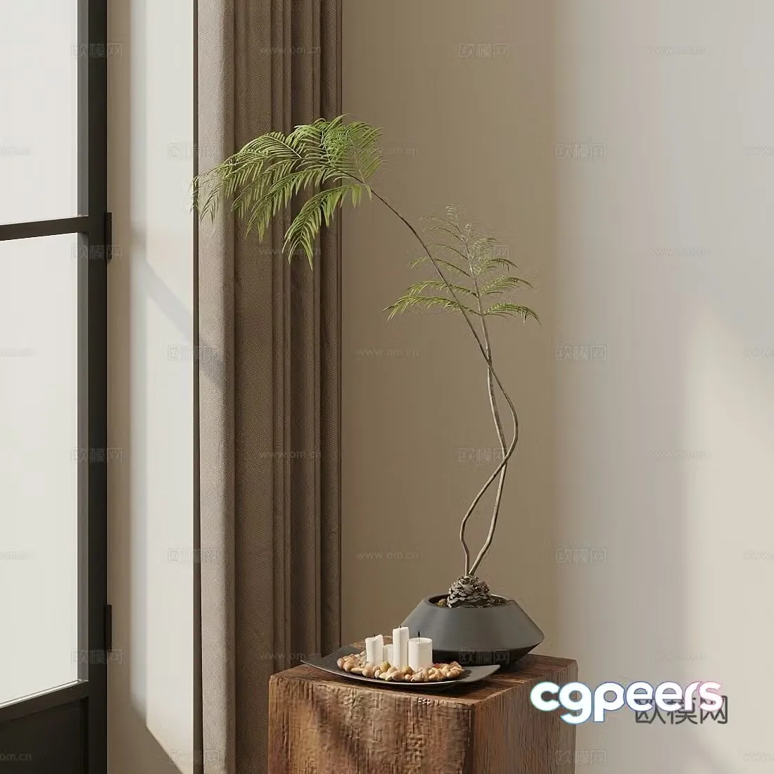 Green plant potted fern potted 3D model