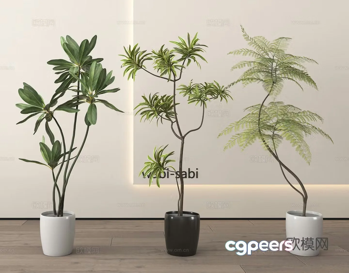 Potted plants Bonsai Green plants 3D model