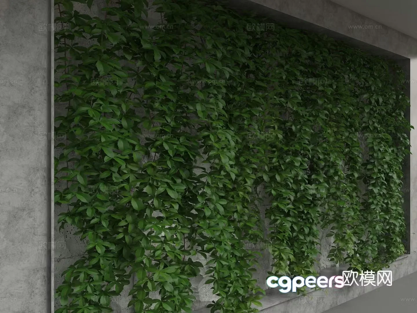 Plant background wall 3d model