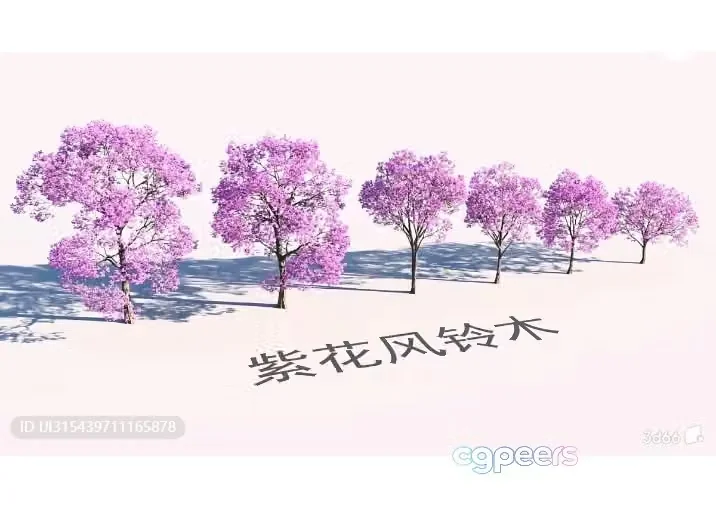 A Row Of Trees With Pink Flowers 3D Model – 8851 – VRAY Render