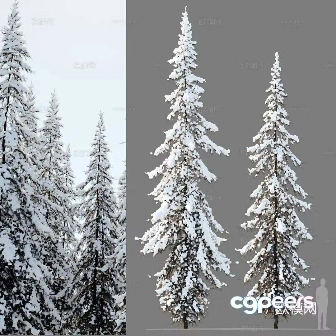 spruce landscape tree 3d model