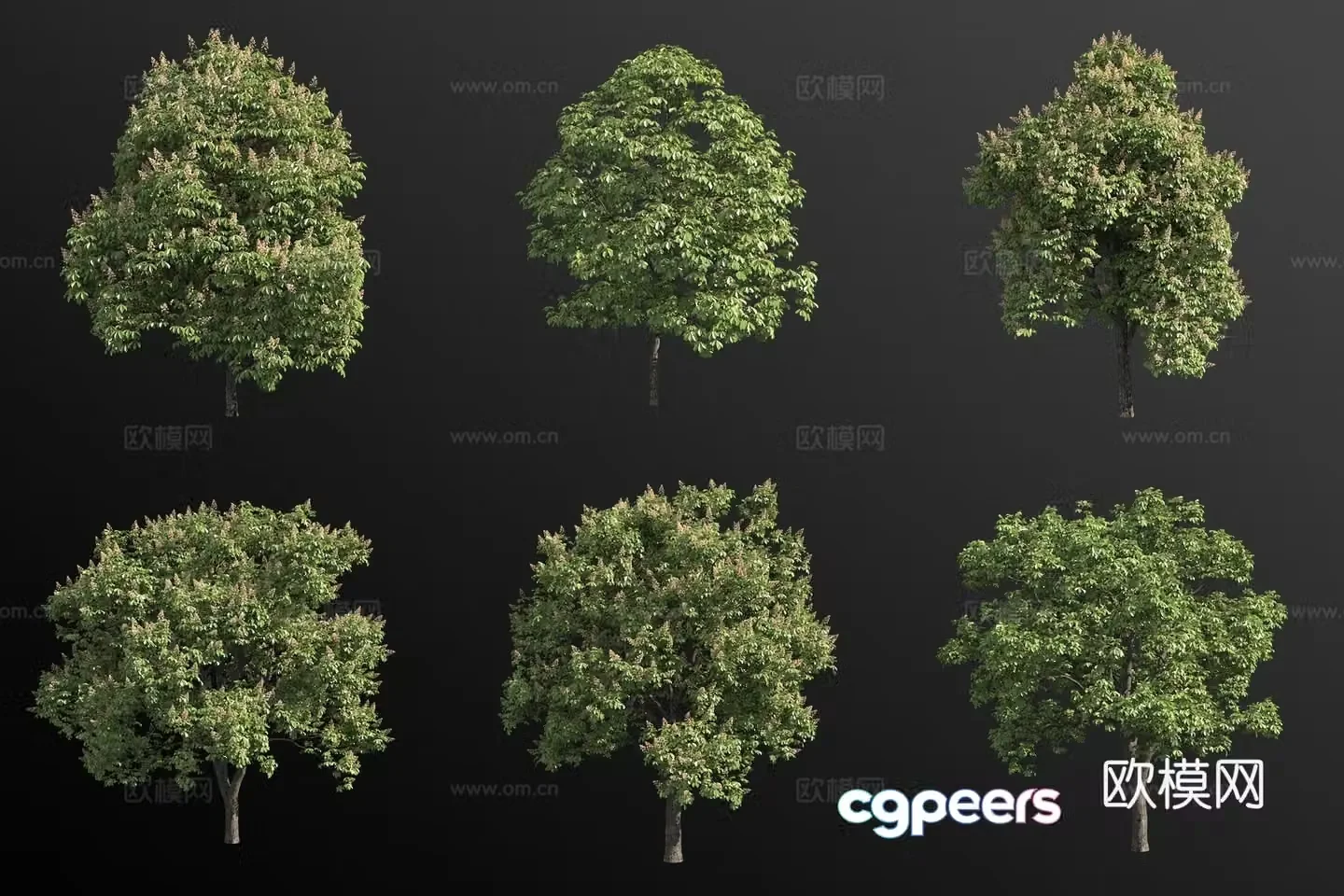 Horse chestnut landscape tree 3d model