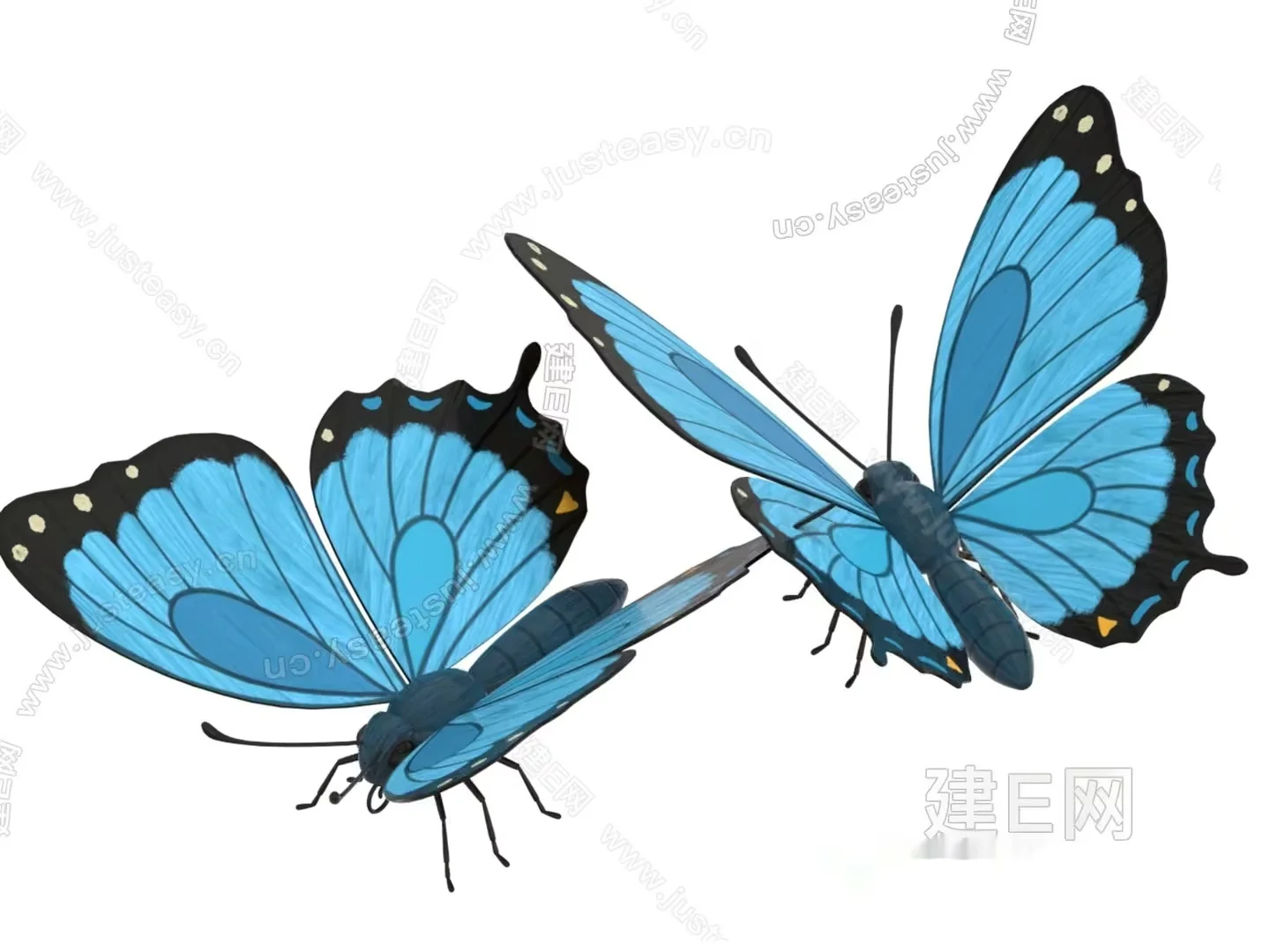 Blue Butterfly 3D Model – 18248 – VRAY Render