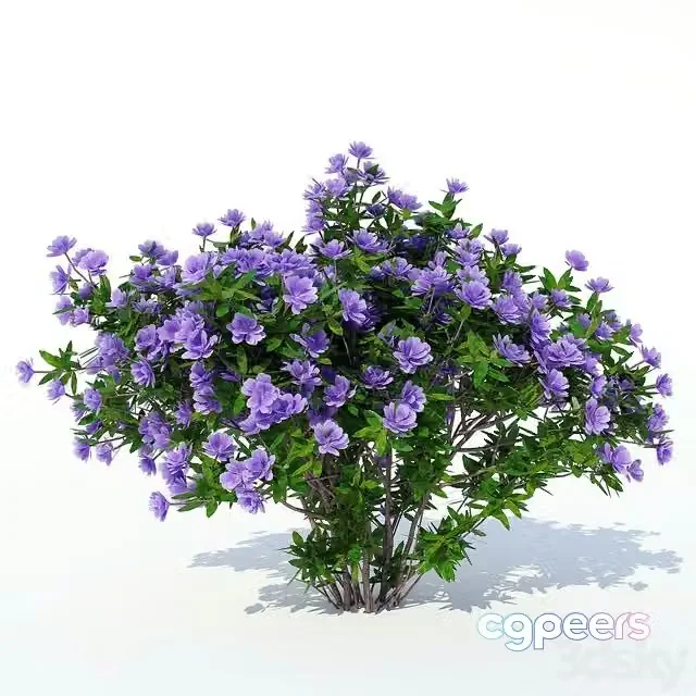 3ds Max Free – Azalea 003