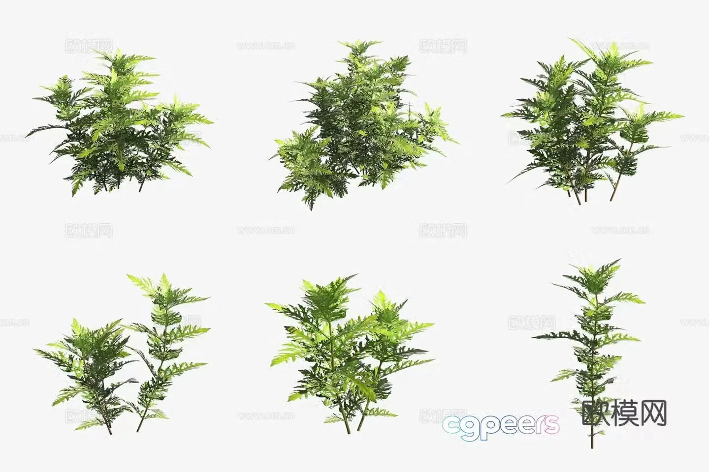 Aquatic plants water Roland aquatic plants 3d model