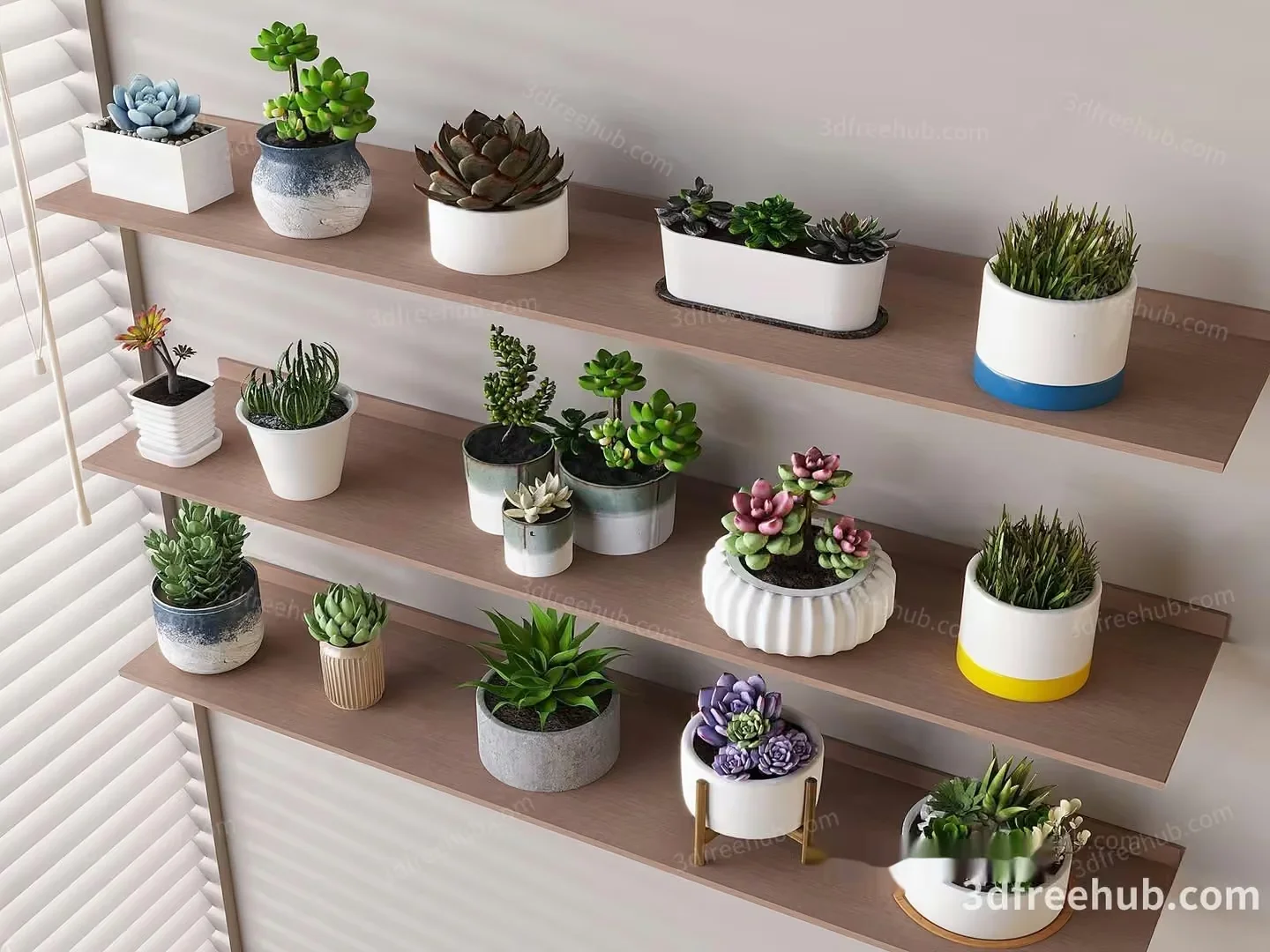 Succulent Plants On Shelves 3D Model – 22997 – VRAY Render