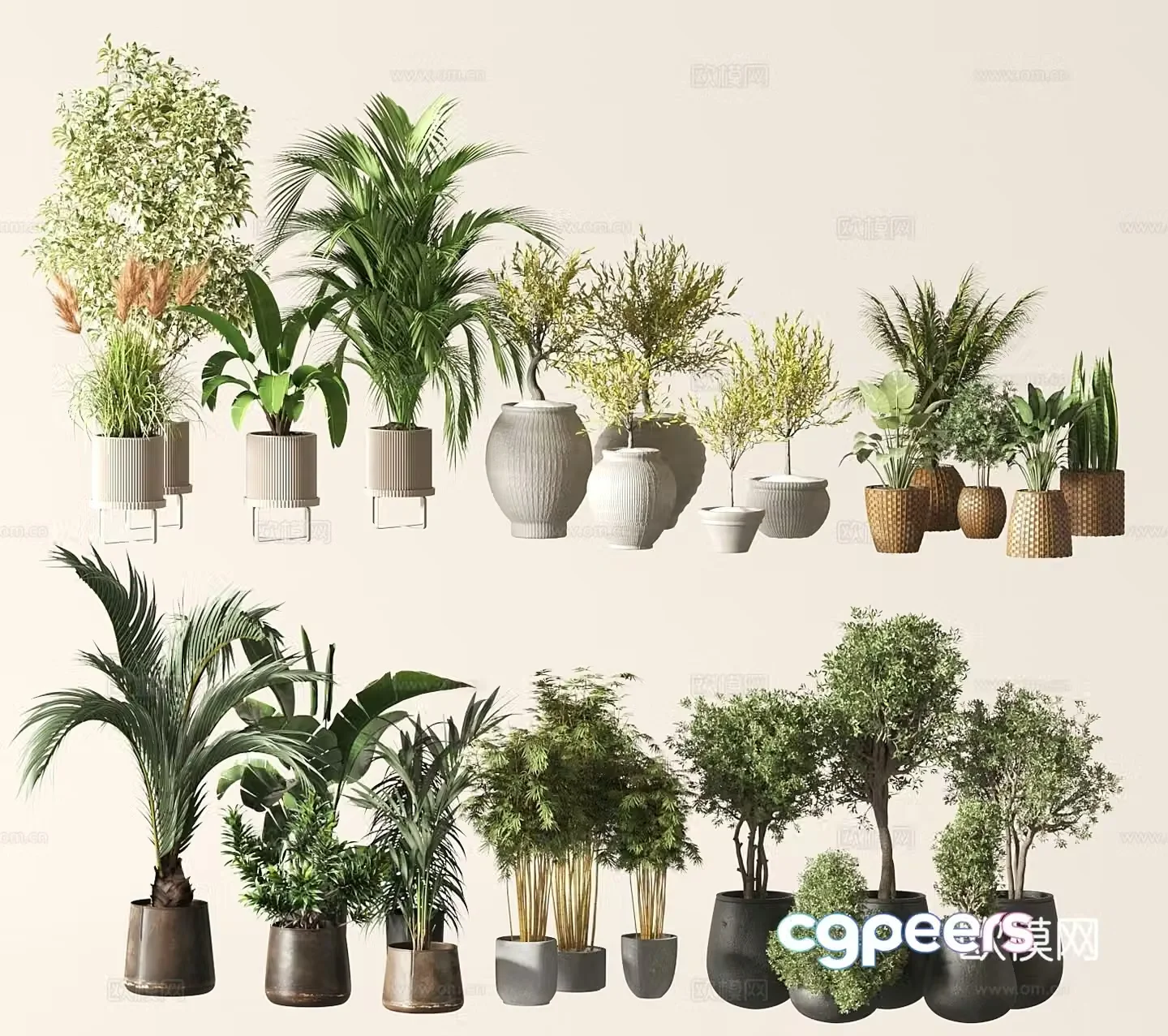 Modern potted plants 3d model
