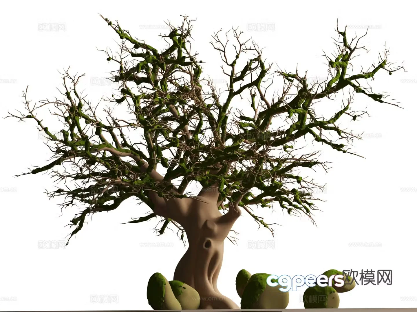 Dead Tree Big Tree Big Banyan Tree 3D Model