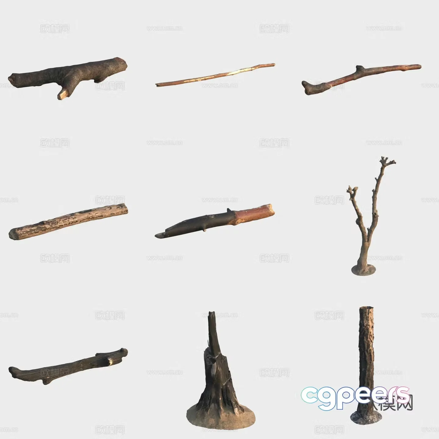 3d model of trunk branches stump