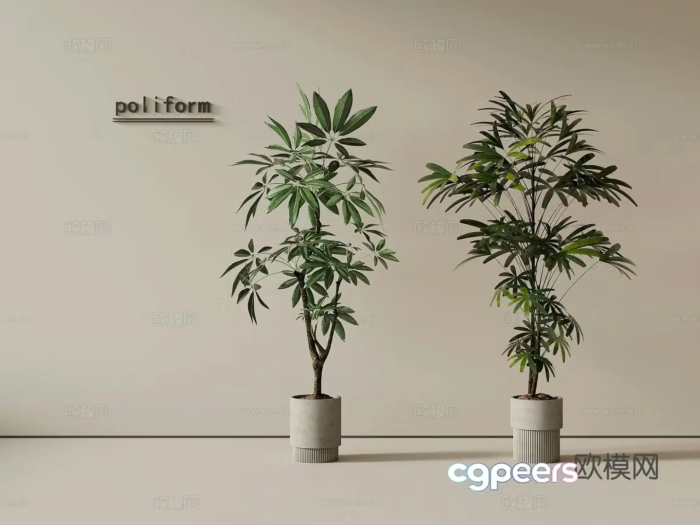Modern green plants potted bonsai tree 3d model