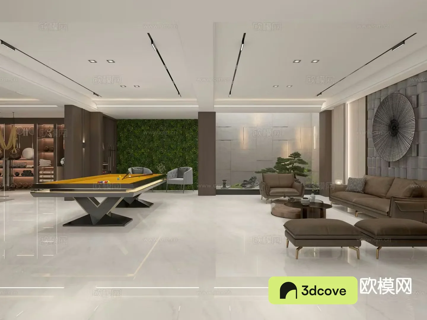 Villa basement entertainment area fitness area