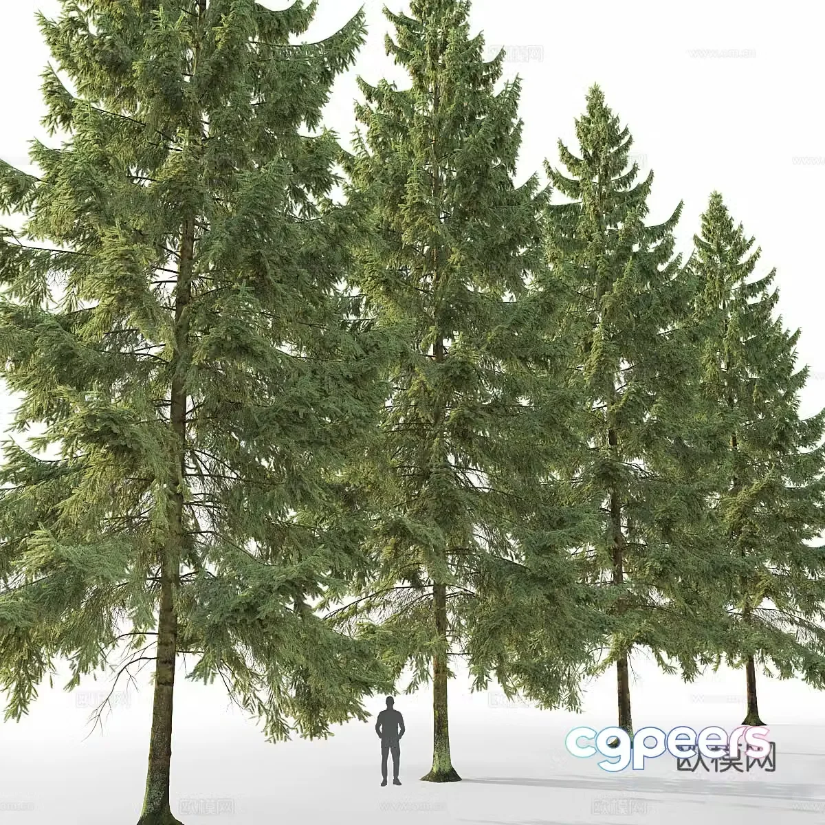 Tree Landscape Tree 3D Model
