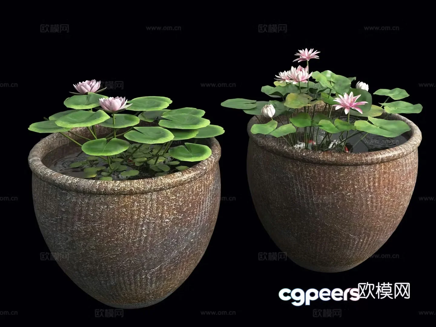 Water tank lotus pond Fish pond Water tank lotus pond Indoor landscape water tank Chinese landscape sketch Water 3D model