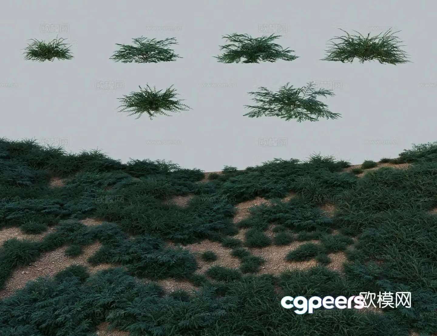 Modern tree shrubs flat branches skeletons small leaves short red 3D model