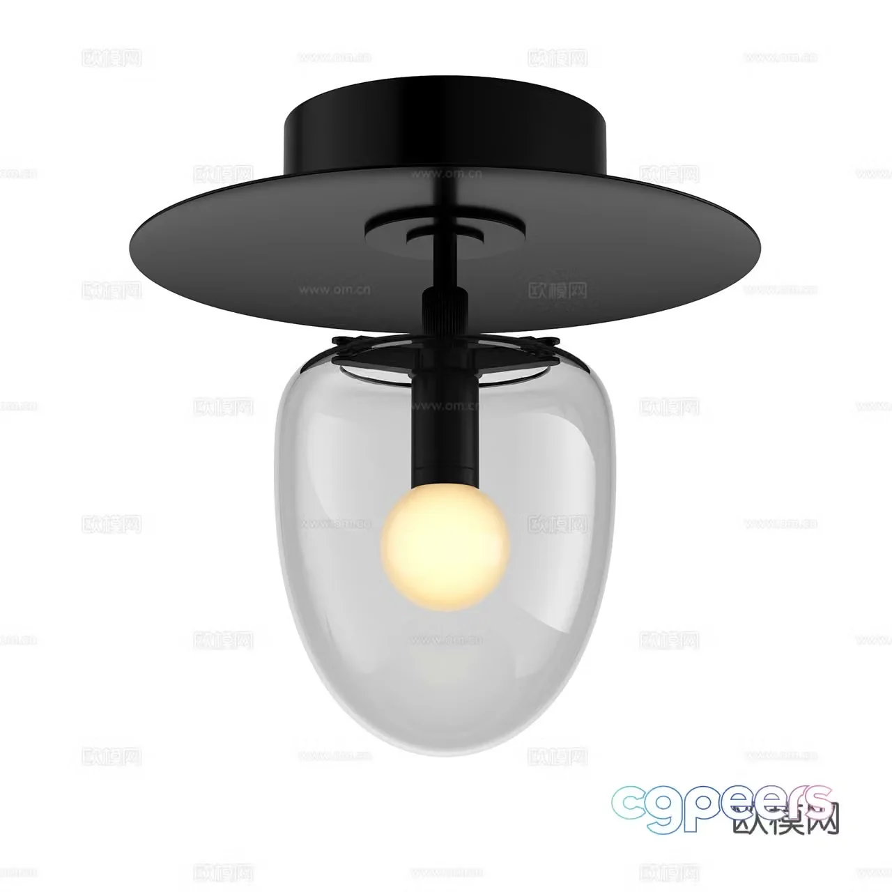 Roll & Hill Minimalist Ceiling Light Glass Ceiling Light Black Ceiling Light 3D Model