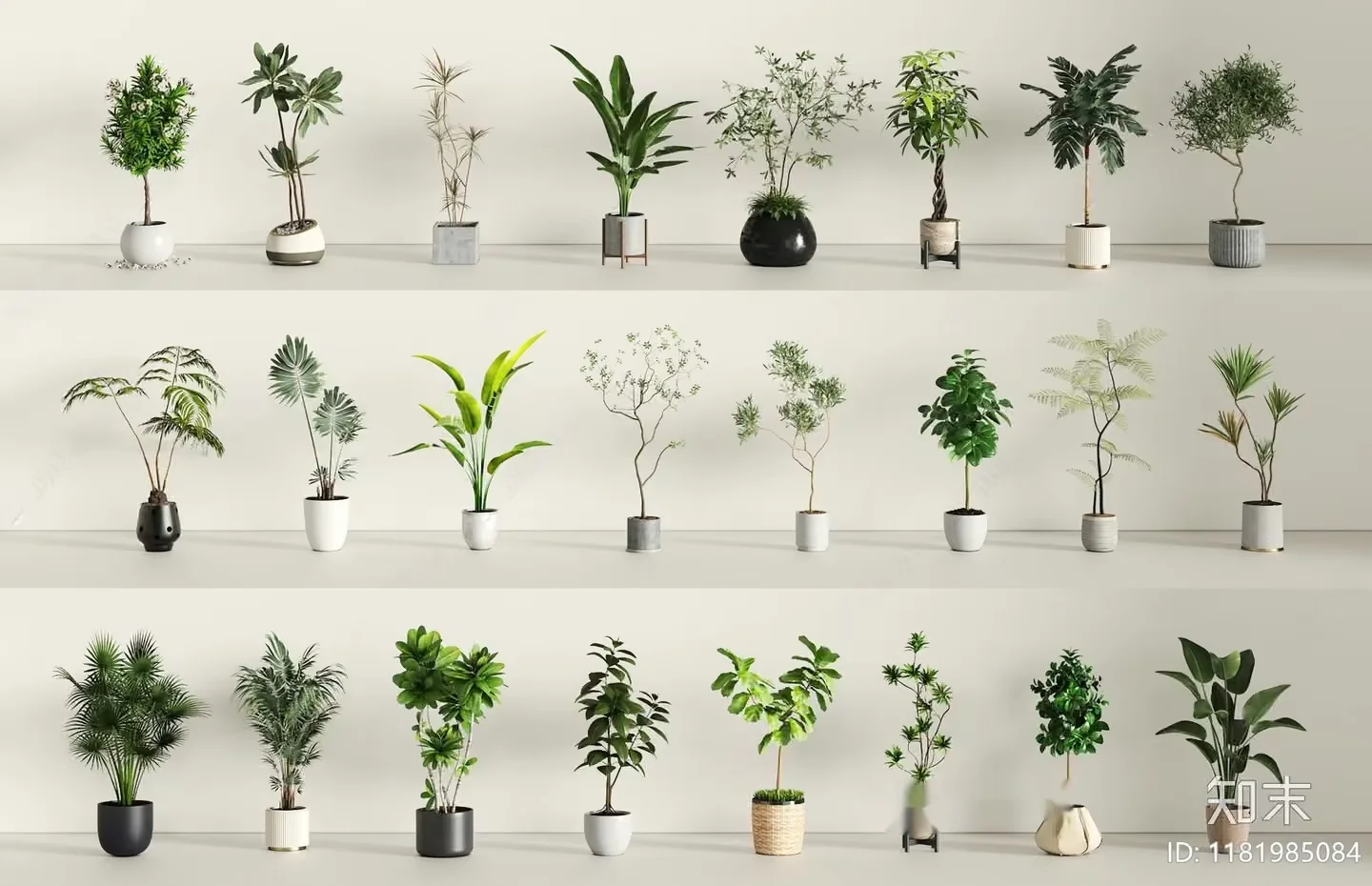 Potted Plants 3D Model – 1865 – VRAY Render