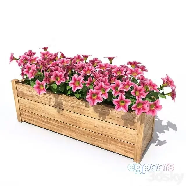 3ds Max Free – Petunia