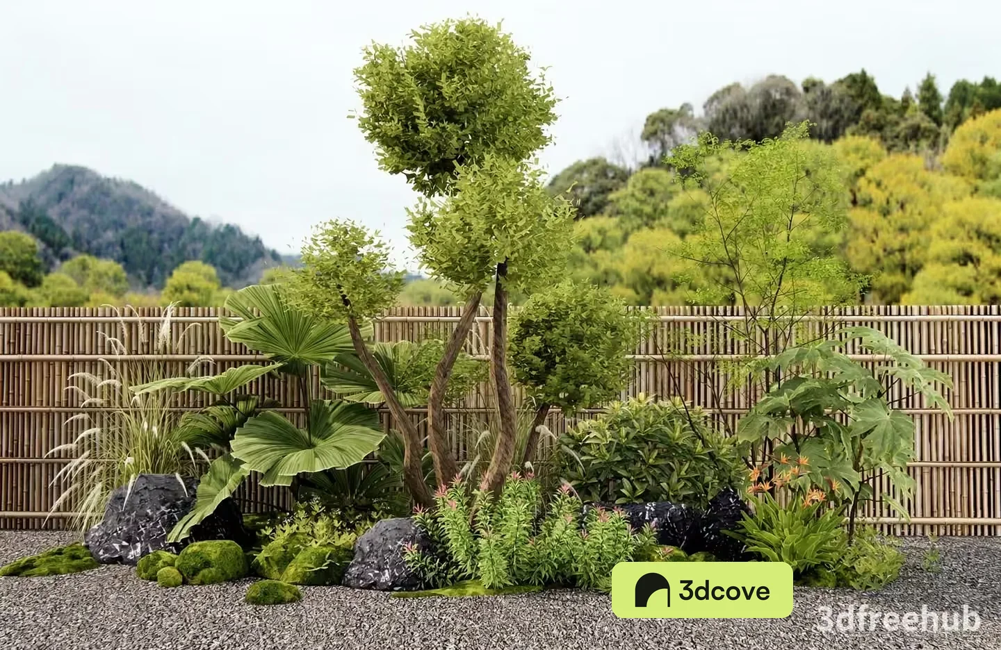 A Serene Garden Landscape