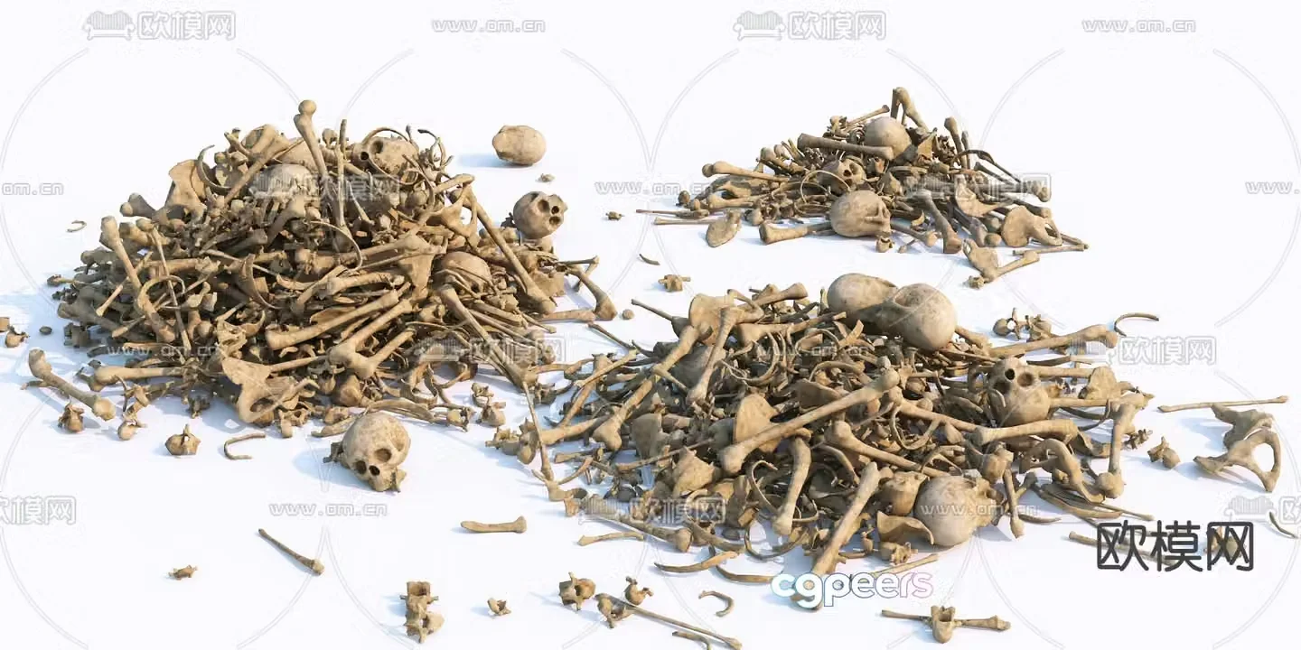 Skull bones landscape 3d model