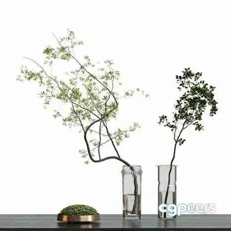 Two Vases With Branches 3D Model – 11640 – CORONA Render