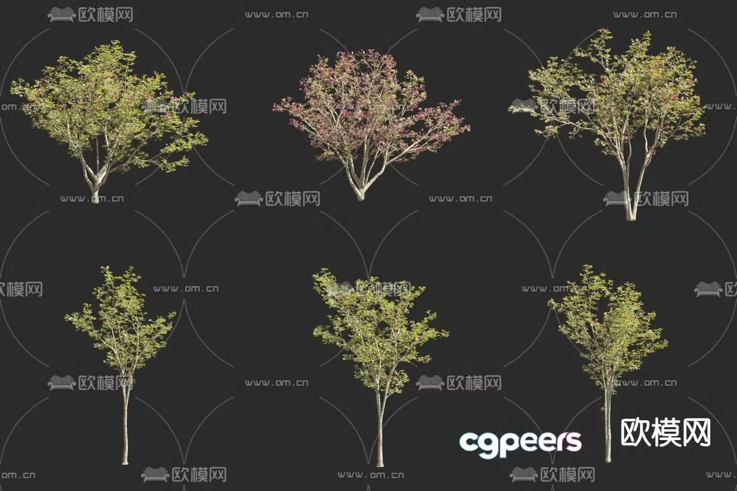Magnolia Purple Magnolia Red Magnolia Xinyi Flower Flower Tree Landscape Tree Small Tree 3D Model