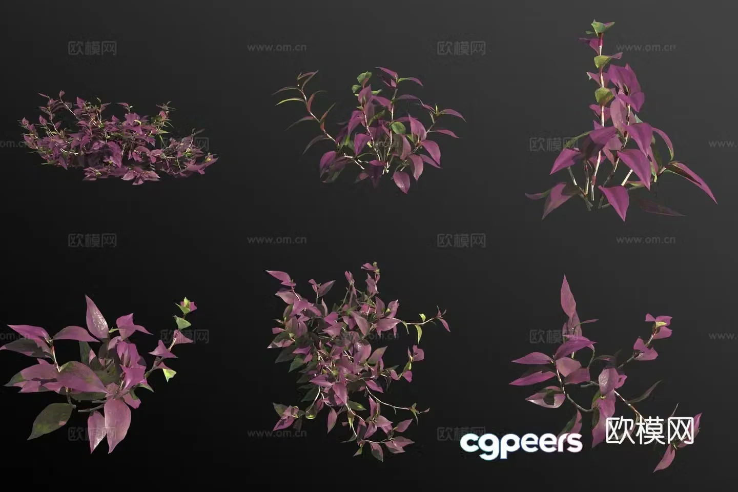 Purple bamboo plum blossom green plants 3D model