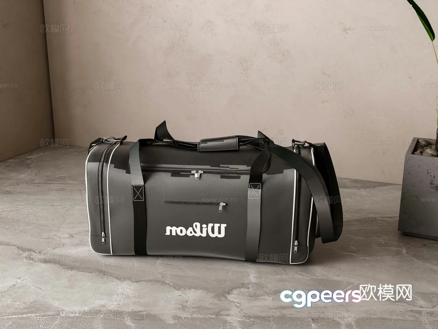 Modern package 3d model