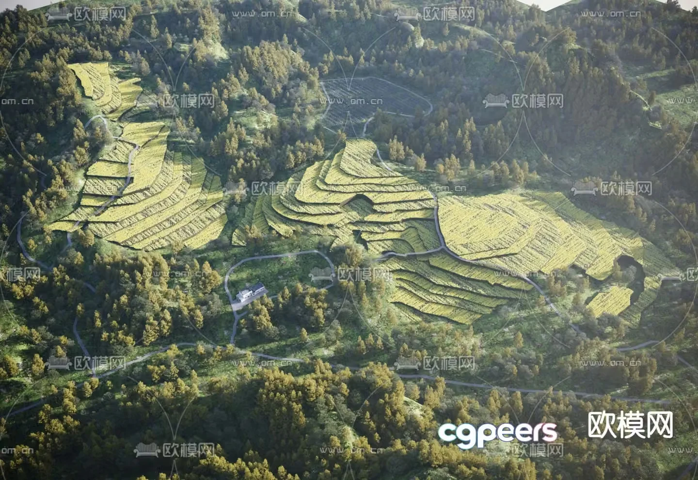 Mountain landscape terraces 3d model