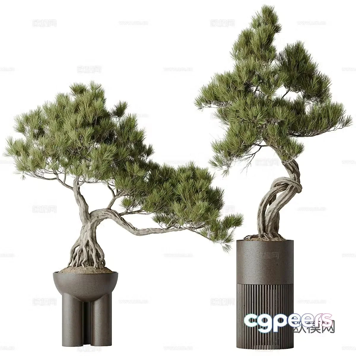 New Chinese style bonsai 3D model