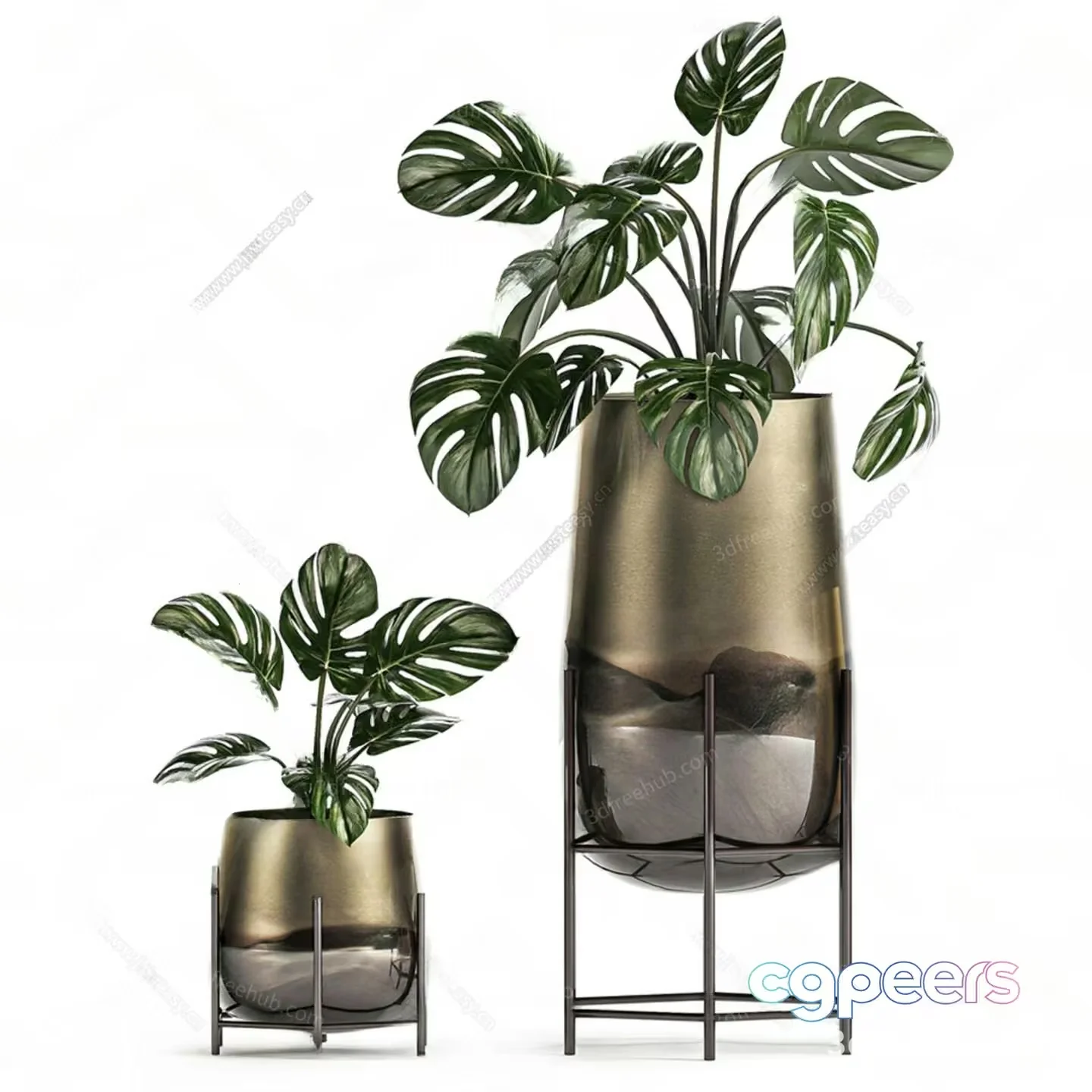 Monstera Plants In Metal Planters 3D Model – 23191 – VRAY Render