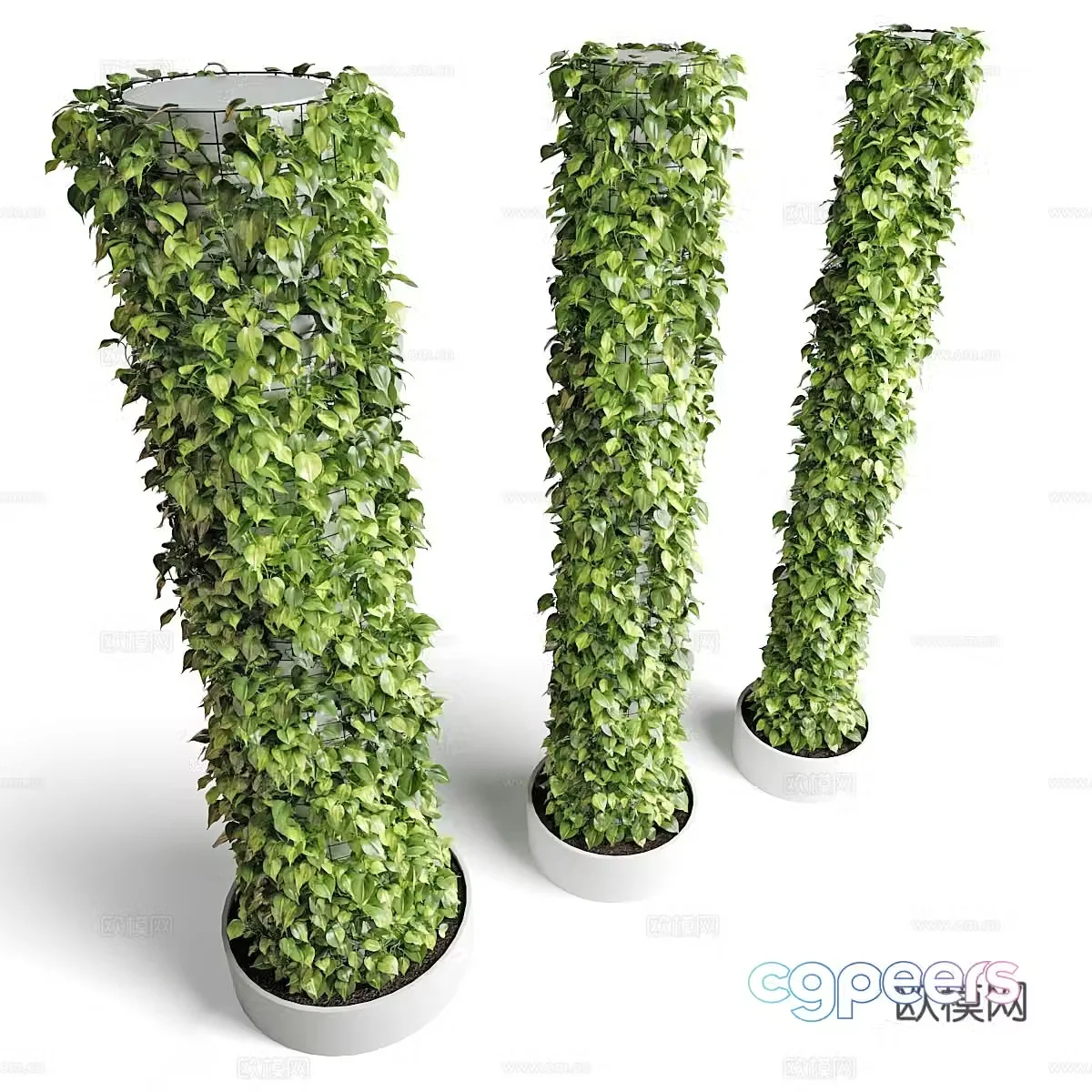 Modern green plant columns Plant columns Bamboo vine ivy Climbing ivy Climbing hedge 3d model