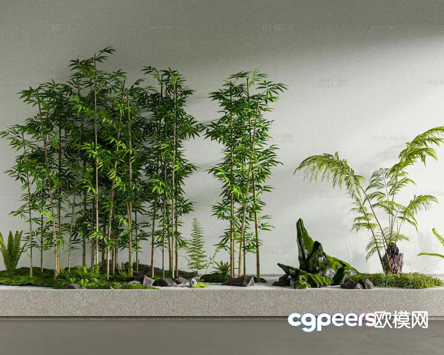 Courtyard bamboo landscape green plant landscaping 3D model