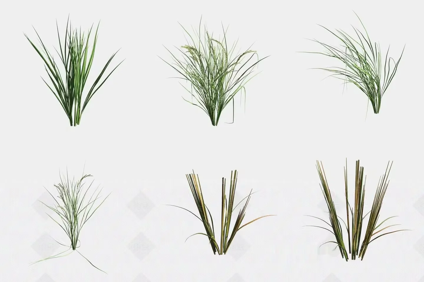 The Main Subject Is A Collection Of Grass 3D Model – 13704 – VRAY Render