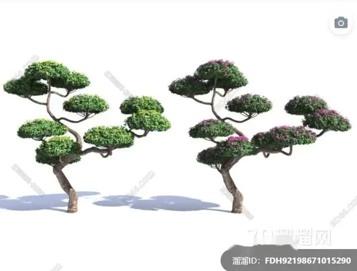 Two Trees With Green Leaves 3D Model – 7397 – VRAY Render
