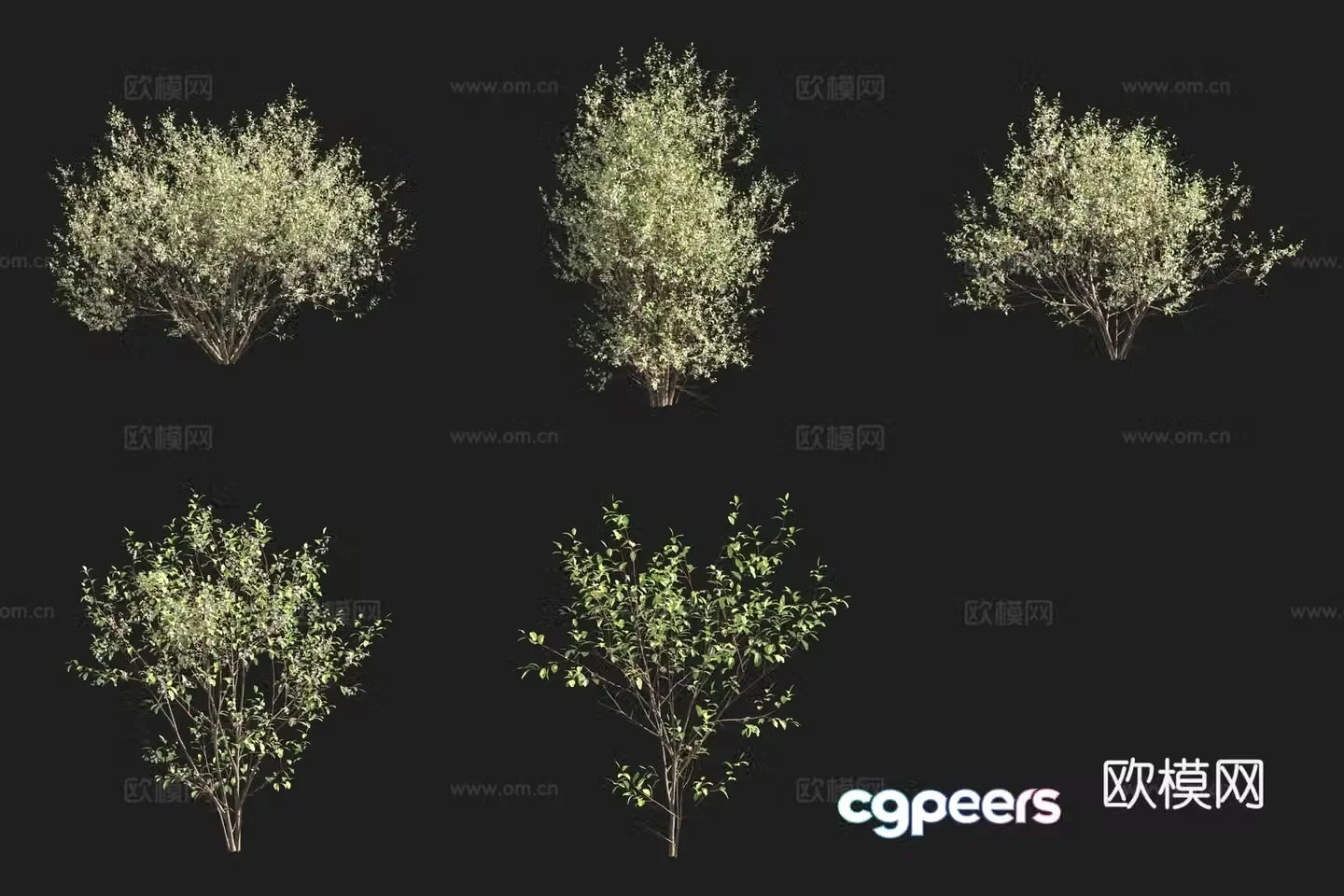 3D model of plum shrub