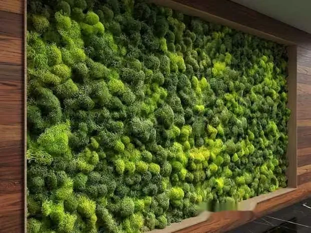 A Green Moss Wall 3D Model – 5400 – VRAY Render