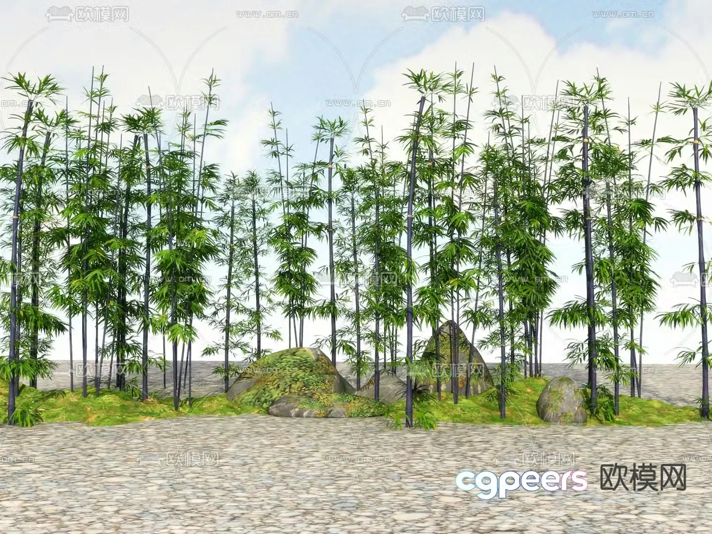 Bamboo Green Bamboo Rich Bamboo 3D Model
