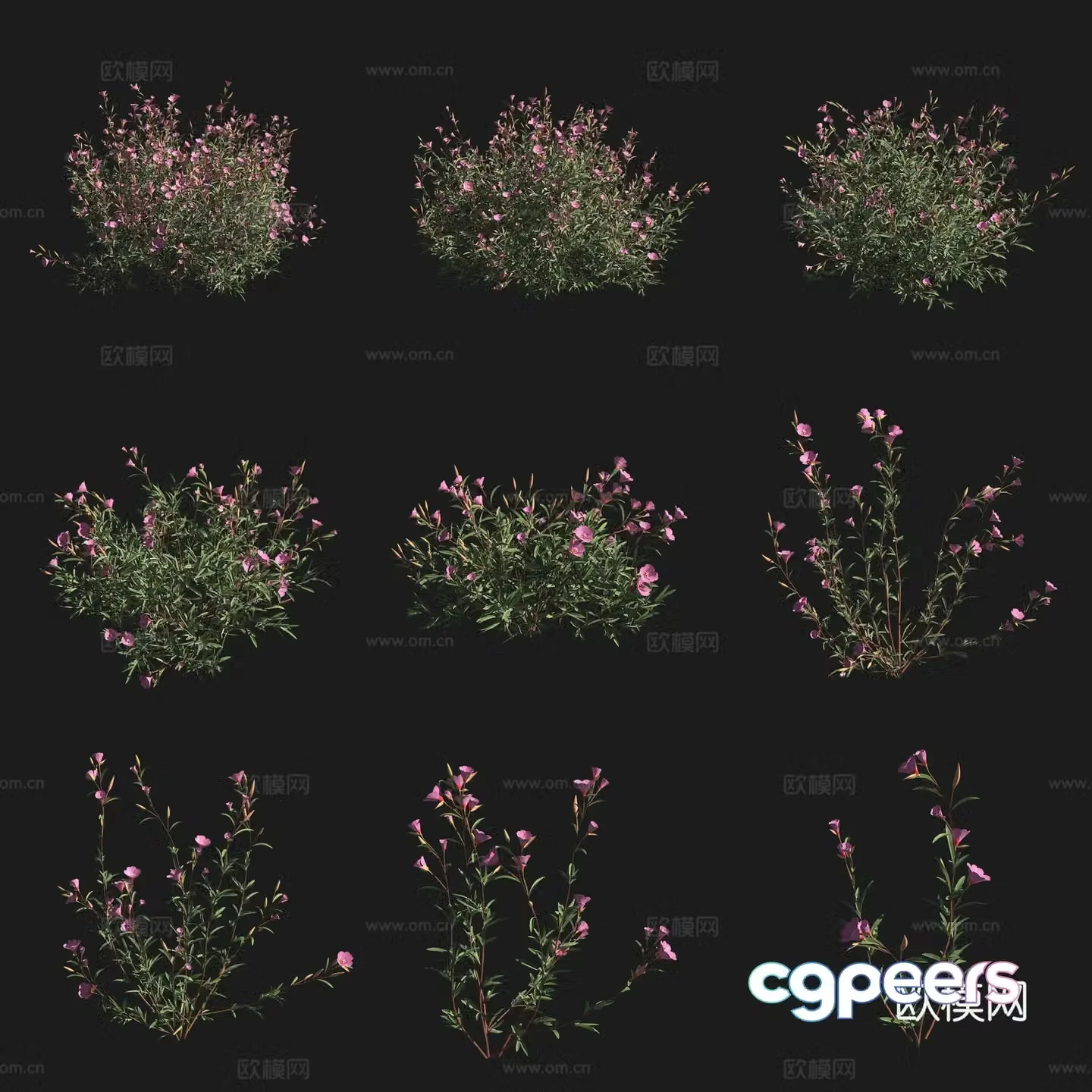 Farewell to spring shrubs flowers plants grassland plants 3d model