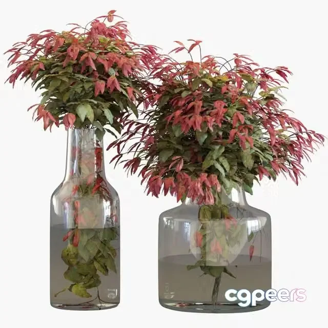 3ds Max Free – Branches in vases 26 Dwarf sacred bamboo