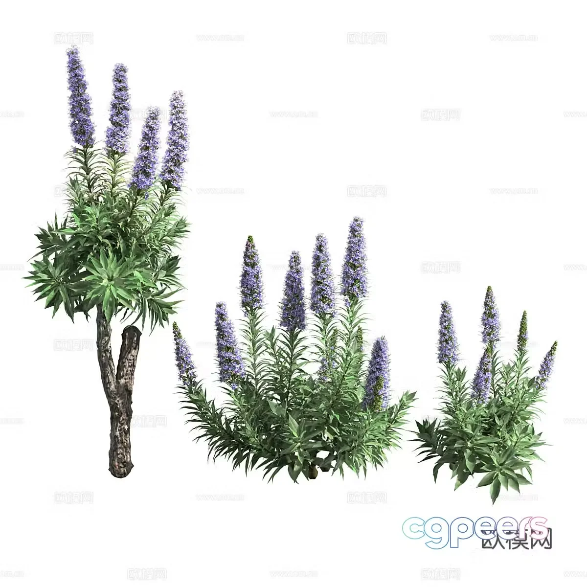 Purple plant 3d model