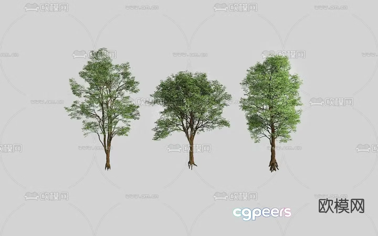 Arbor trees 3d model