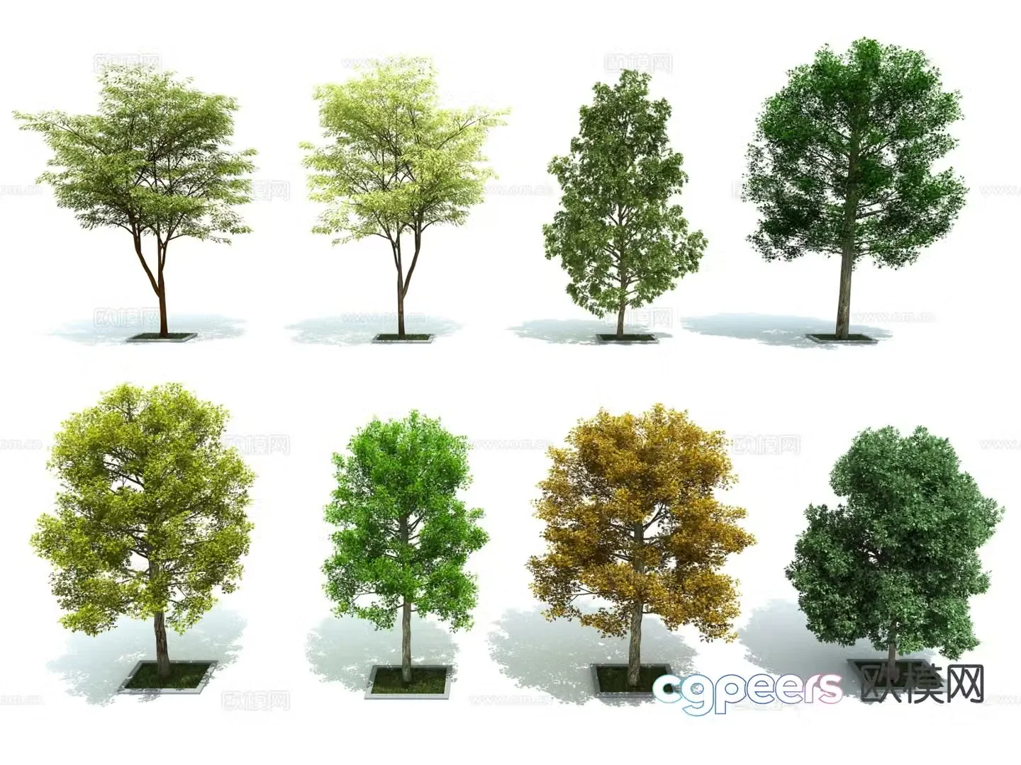 Trees Landscape Trees Street Trees Aerial View Tree Scene Tree 3D Model