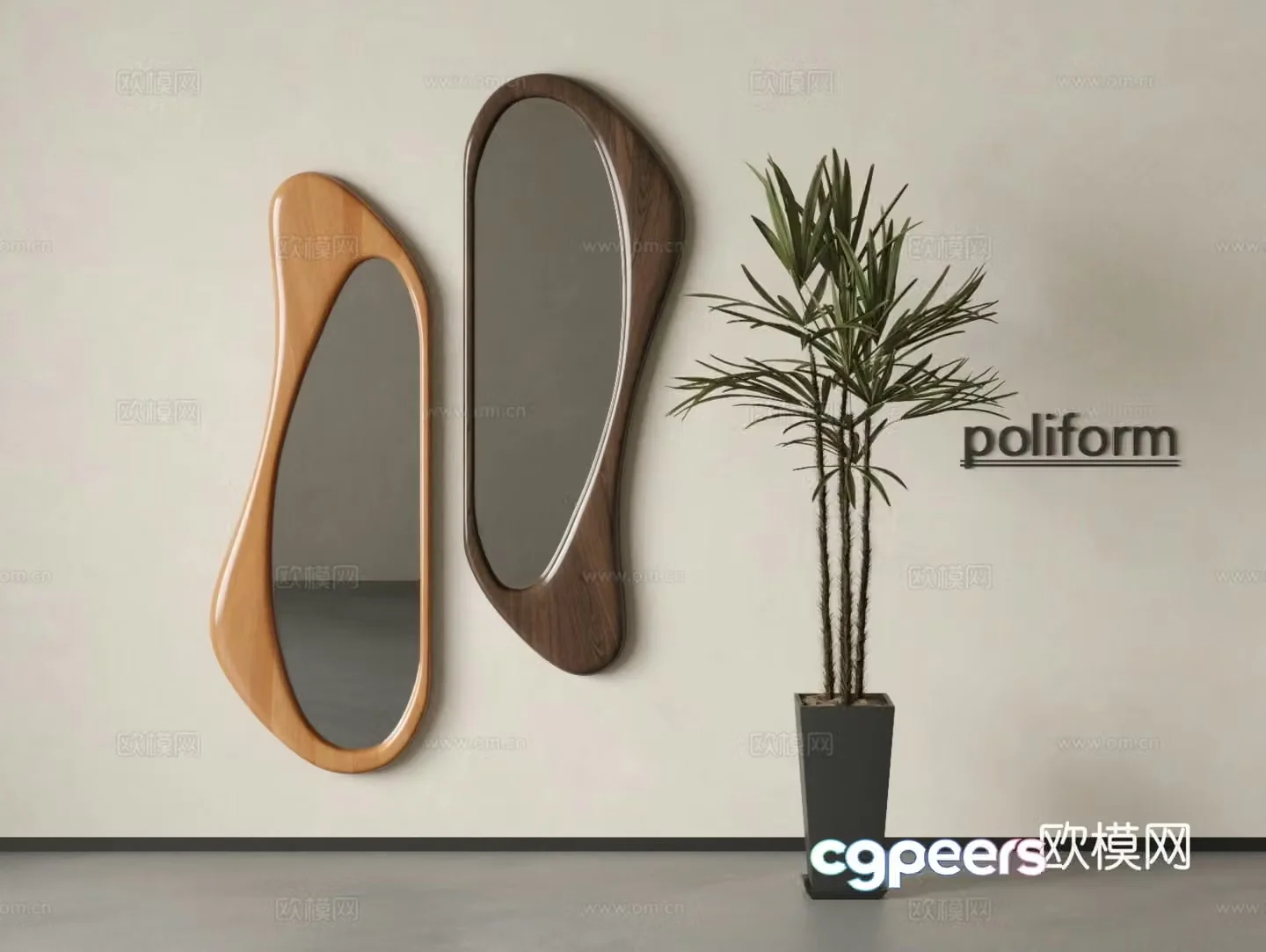 Wooden mirror Mirror Special mirror Decoration Plant potted 3D model