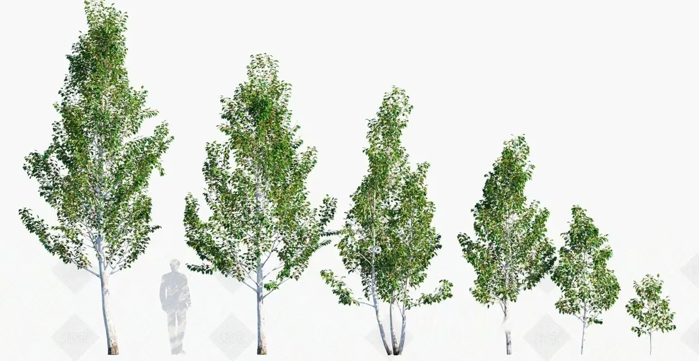 A Row Of Trees 3D Model – 11508 – VRAY Render