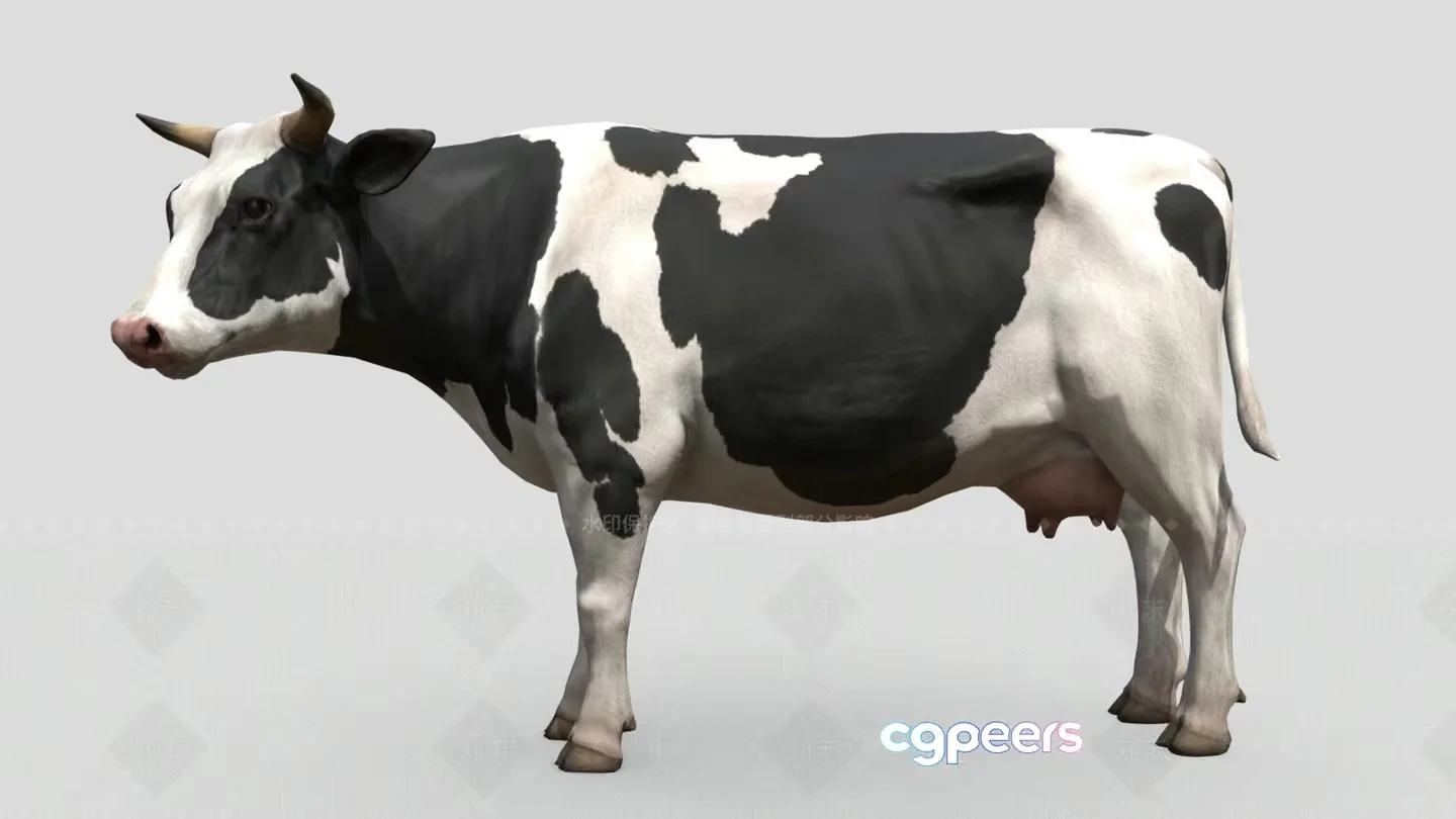 A Cow 3D Model – 16968 – VRAY Render